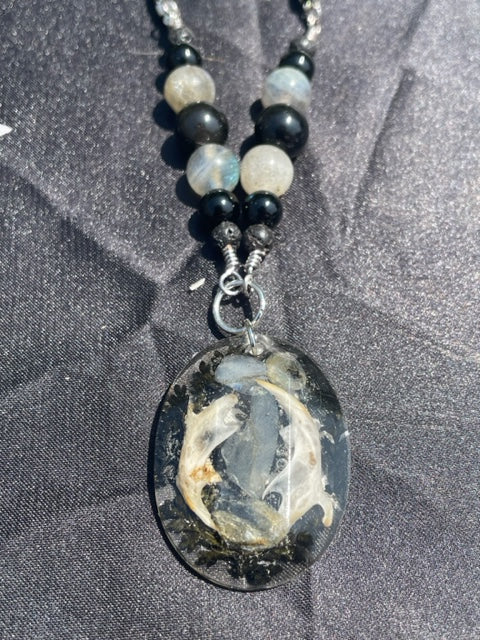 Rodent Jaw Bones & Labradorite Crystal Necklace (Oval)