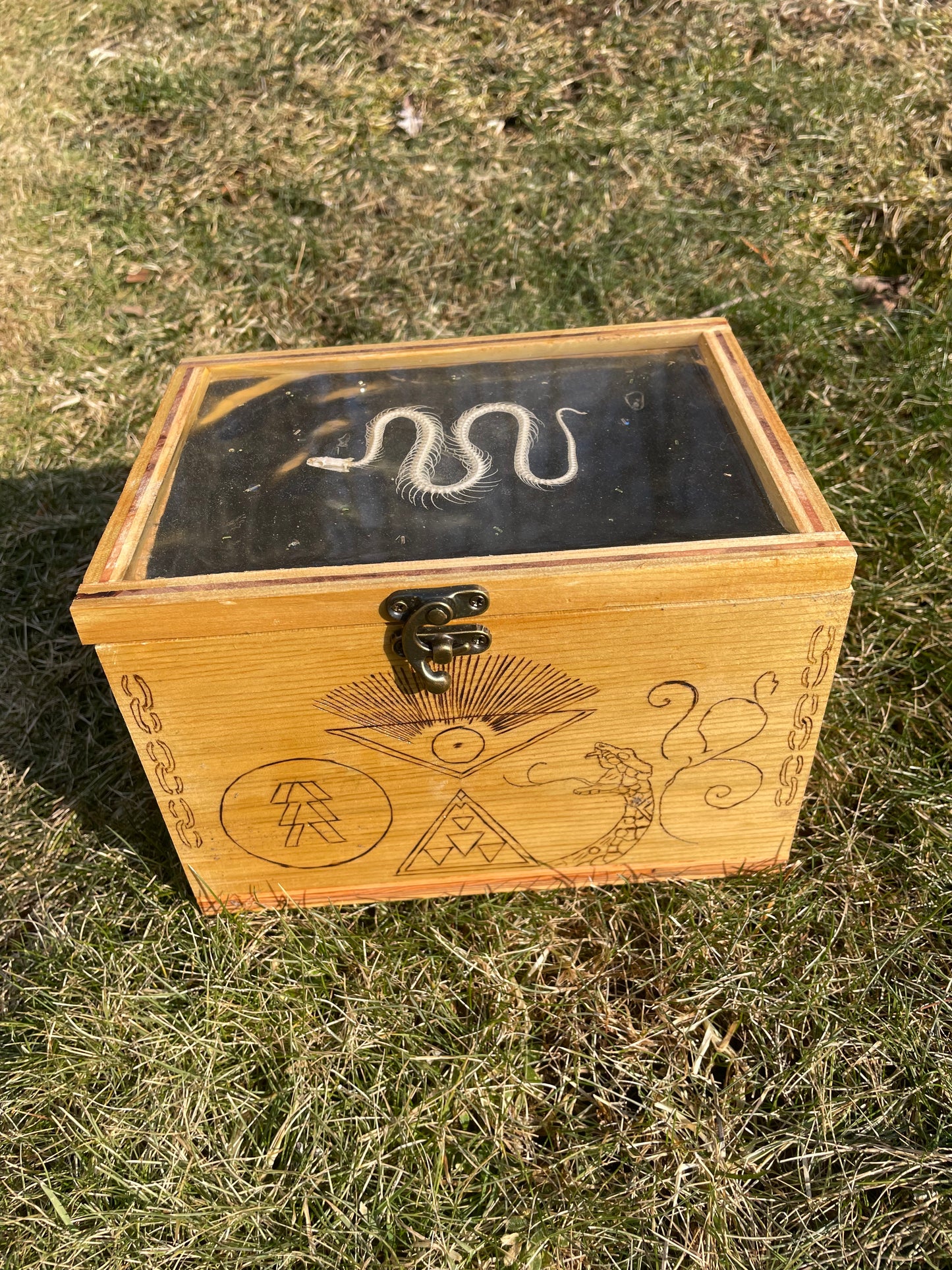 Snake Skeleton Box