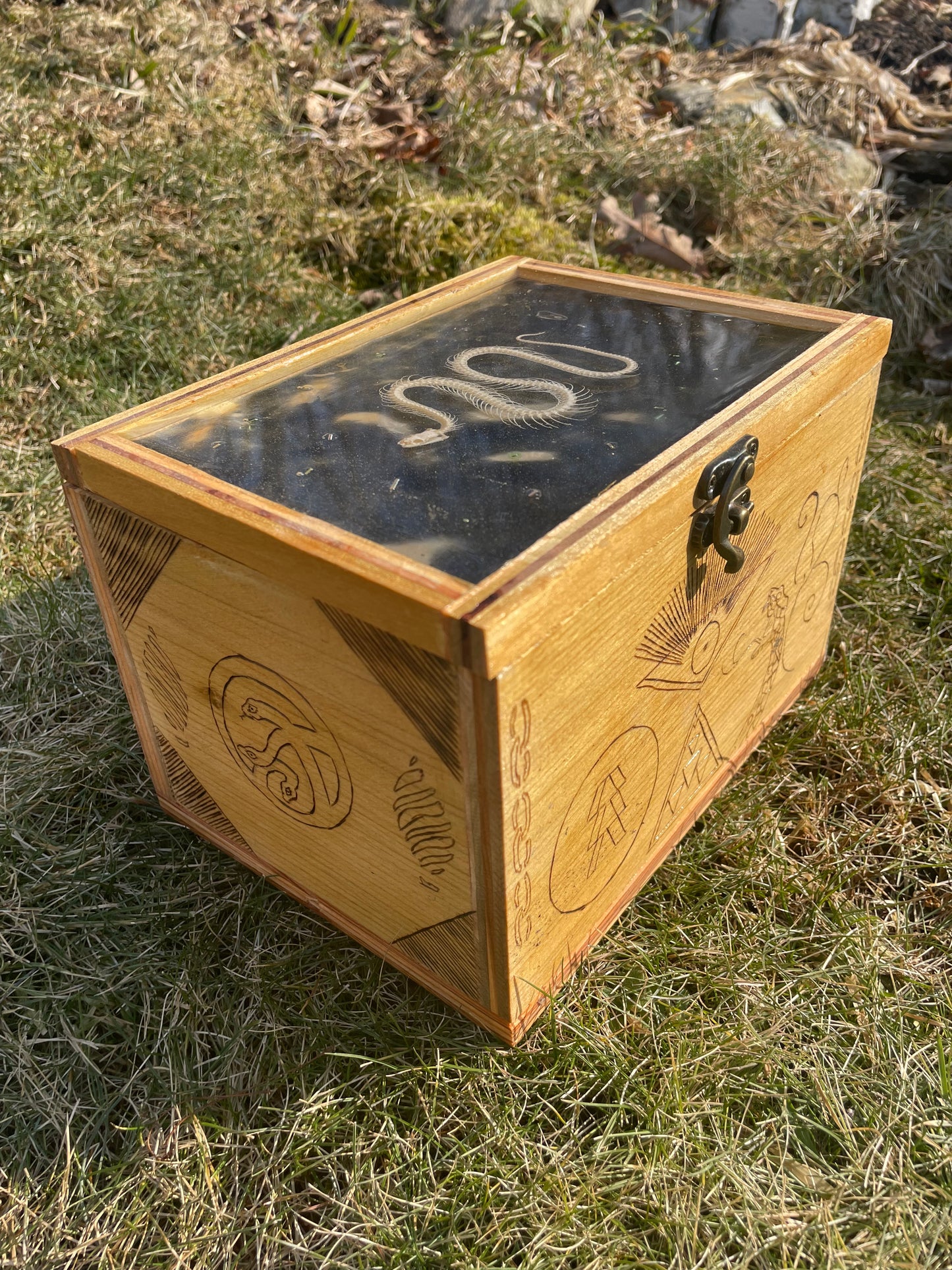 Snake Skeleton Box