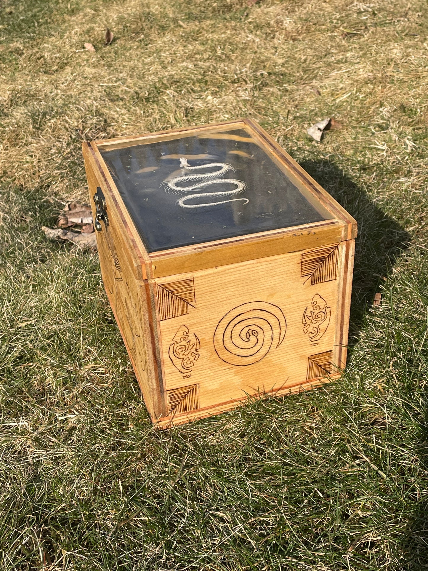 Snake Skeleton Box
