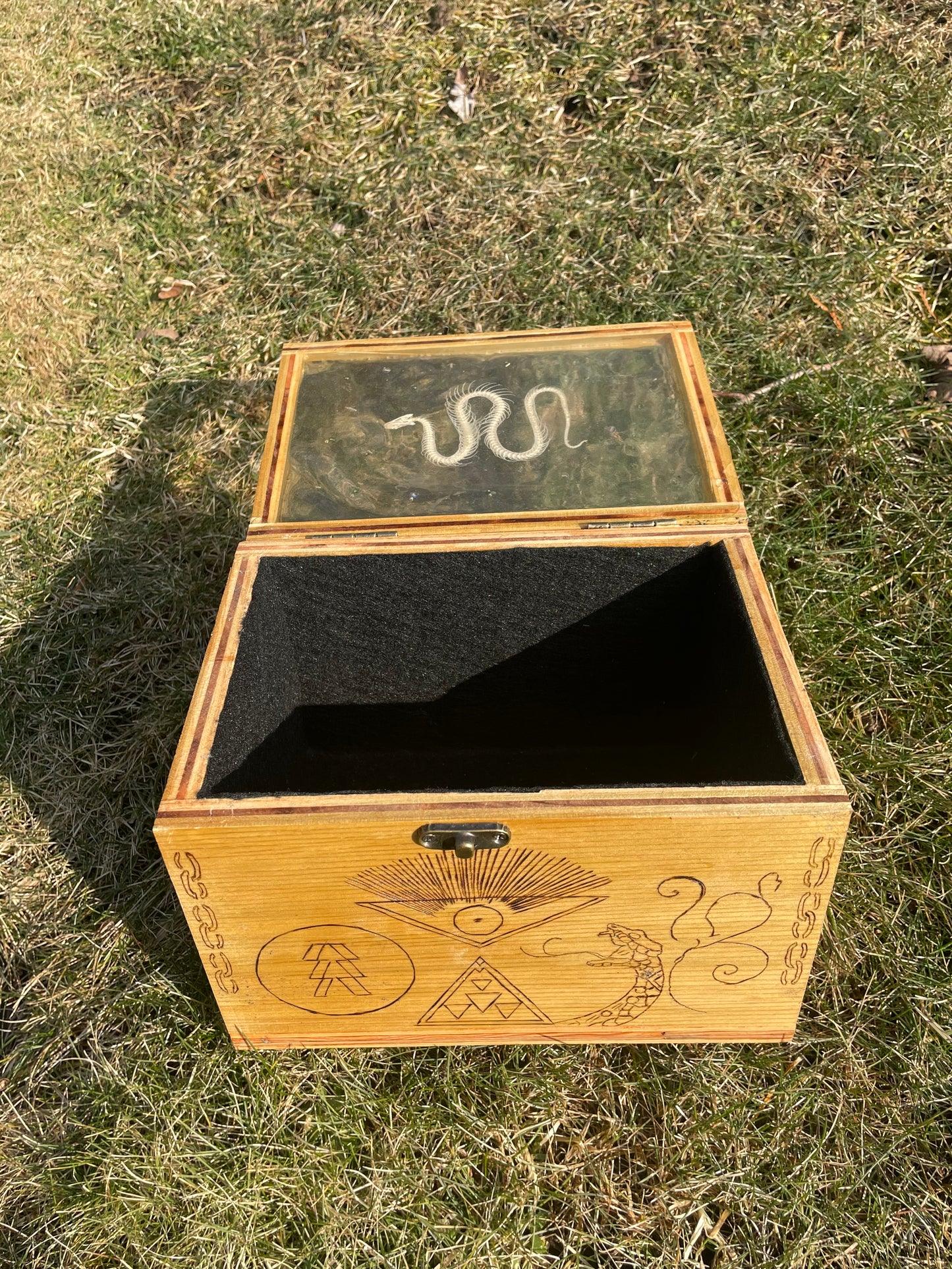 Snake Skeleton Box