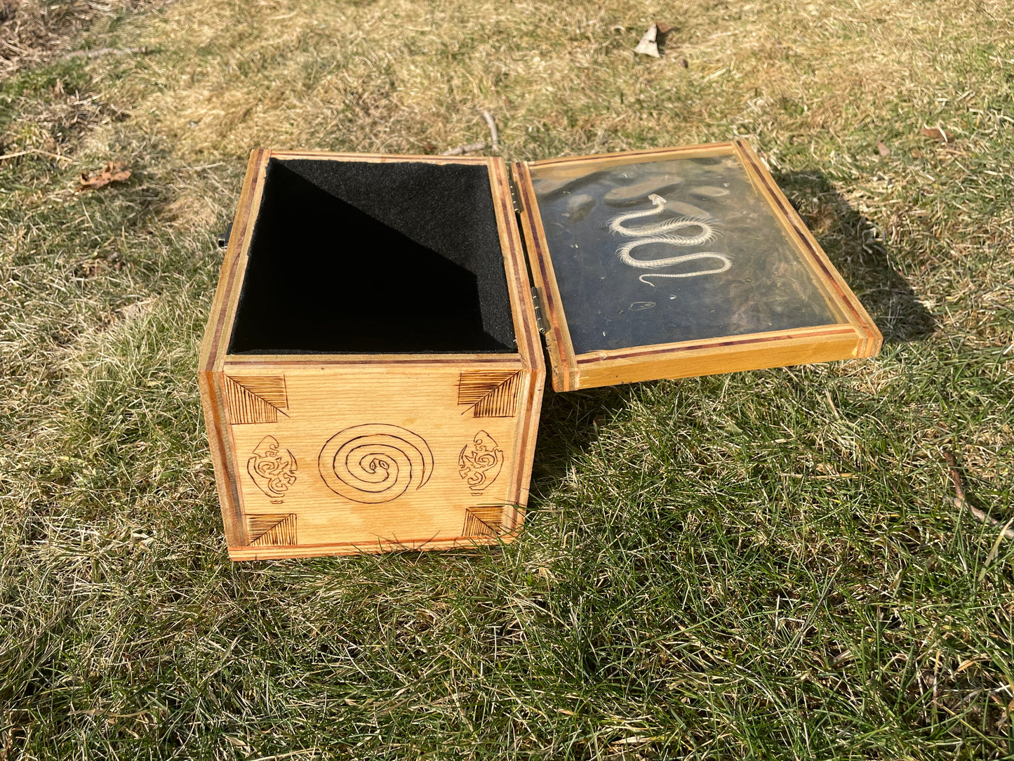 Snake Skeleton Box