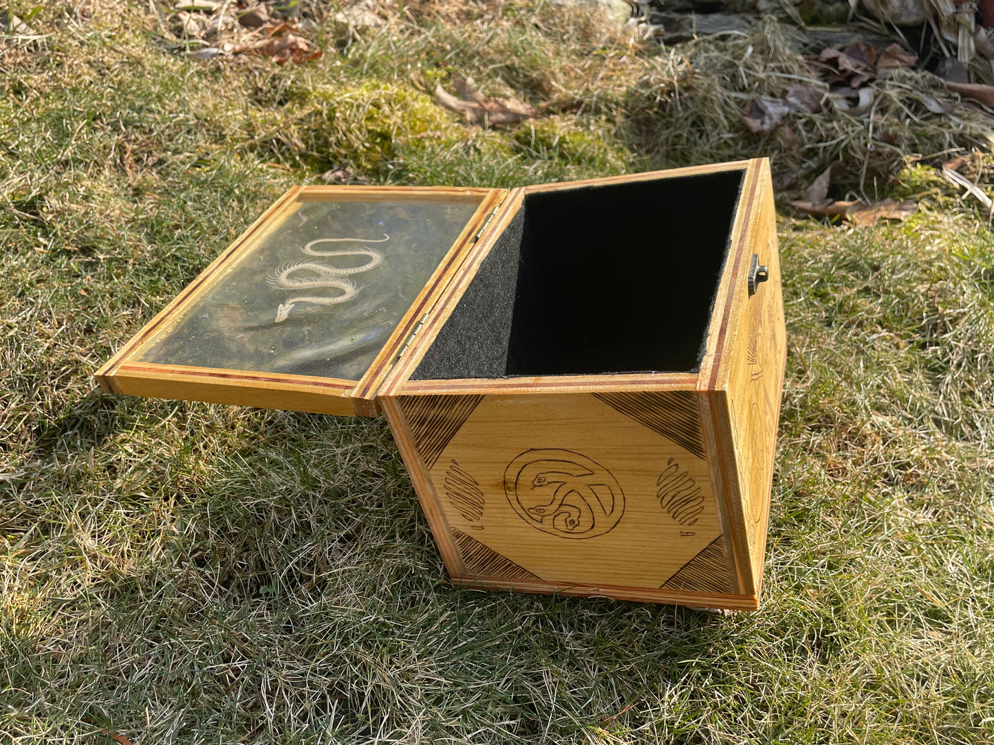 Snake Skeleton Box