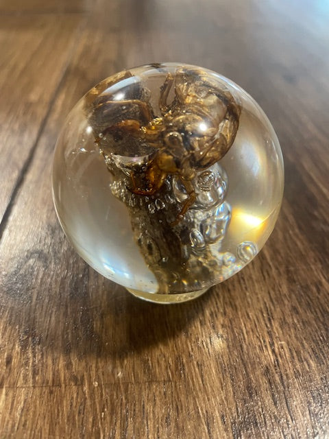 Medium Bug Globes