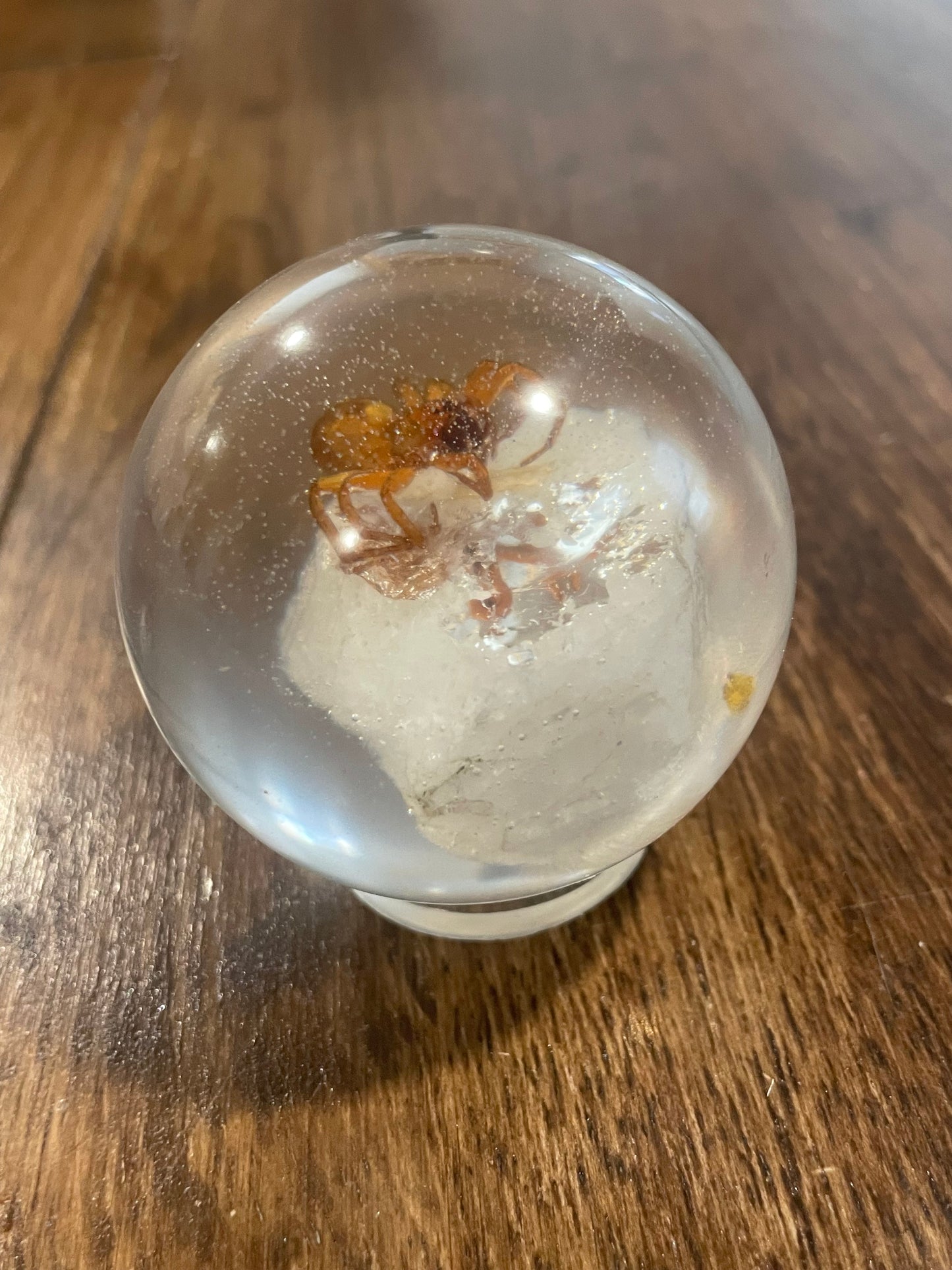 Medium Bug Globes