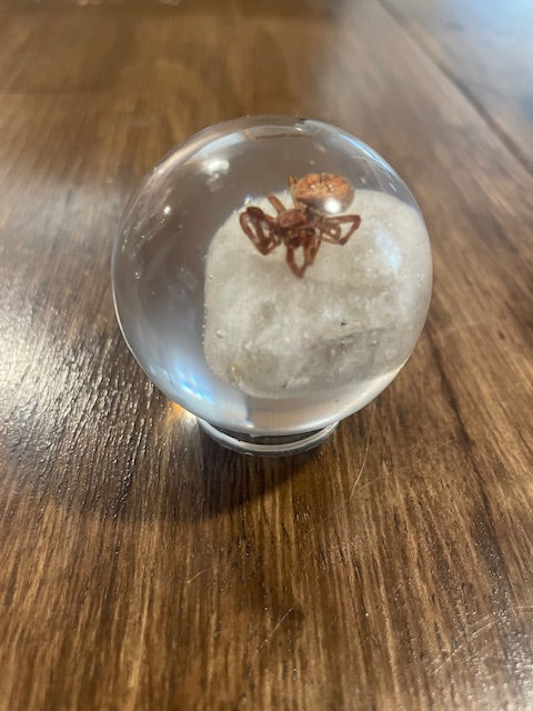 Small Bug Globes