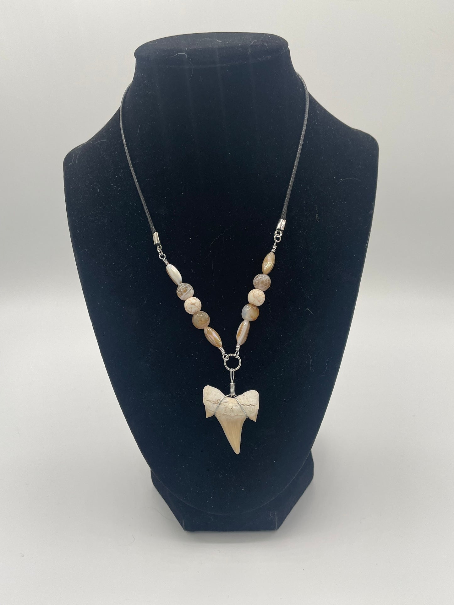 Shark Tooth Necklace