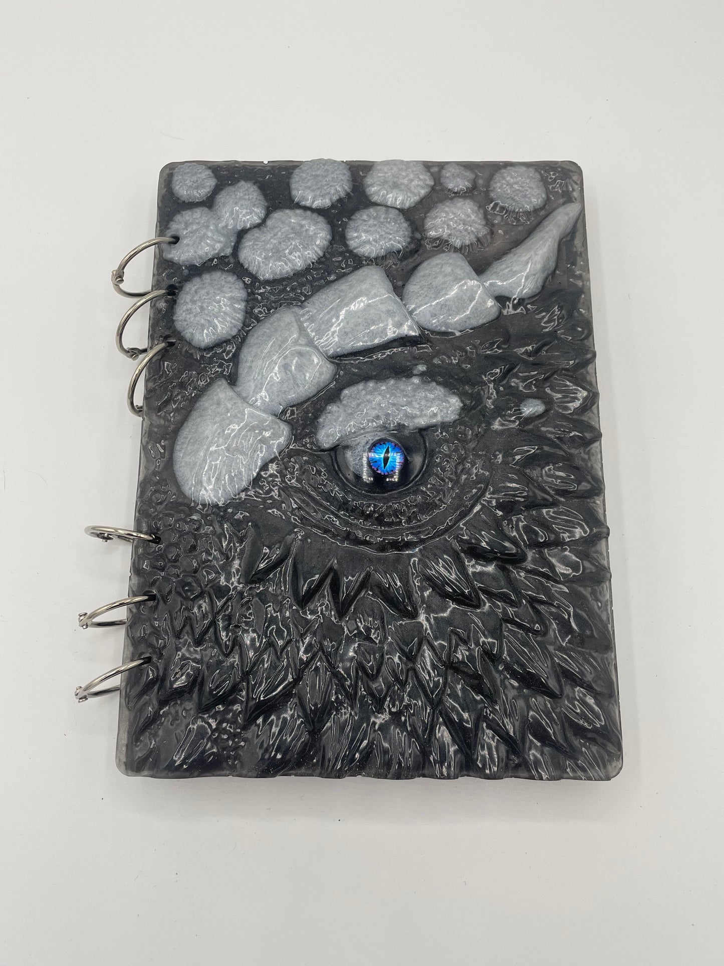 Dragon Notebooks