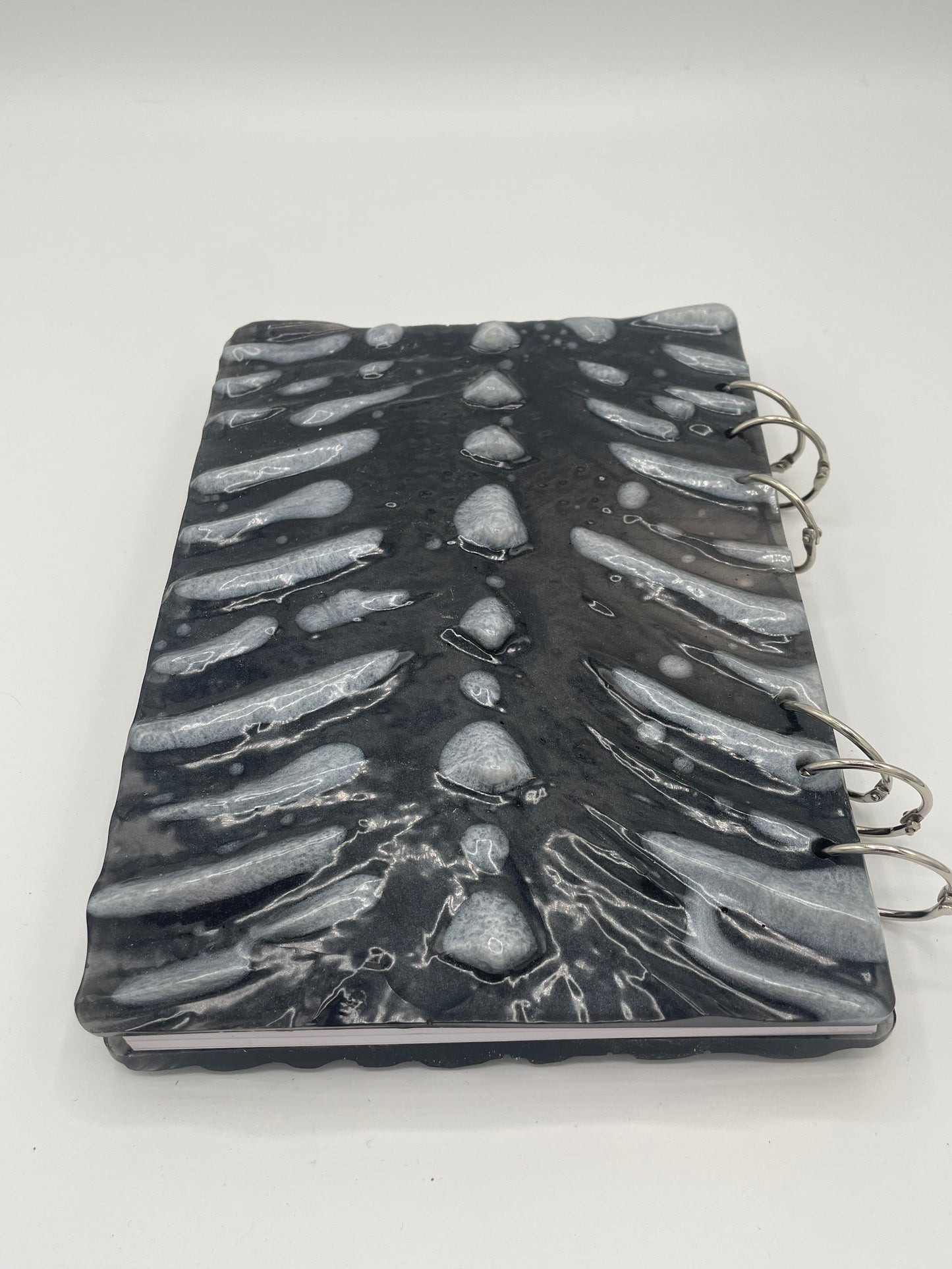 Dragon Notebooks