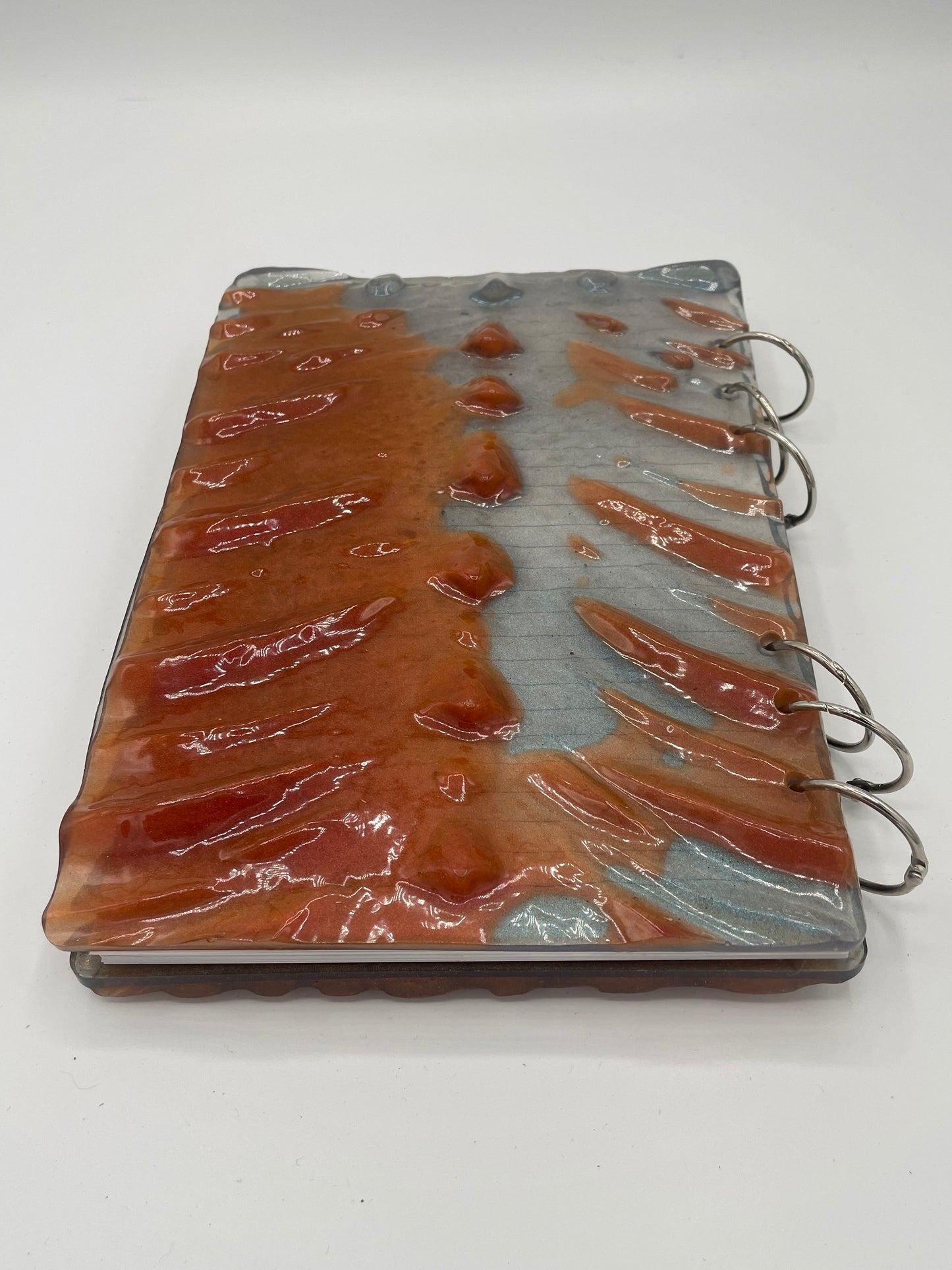 Dragon Notebooks