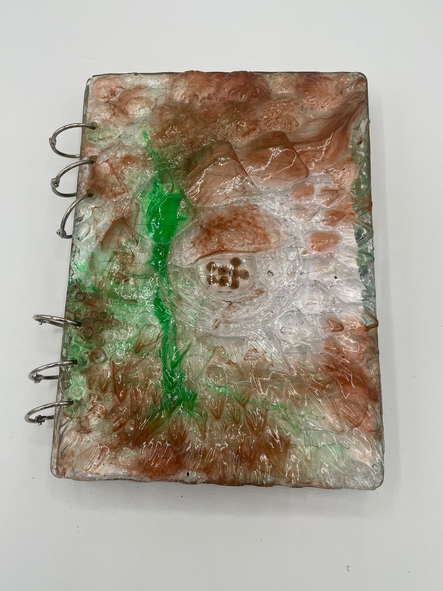 Dragon Notebooks