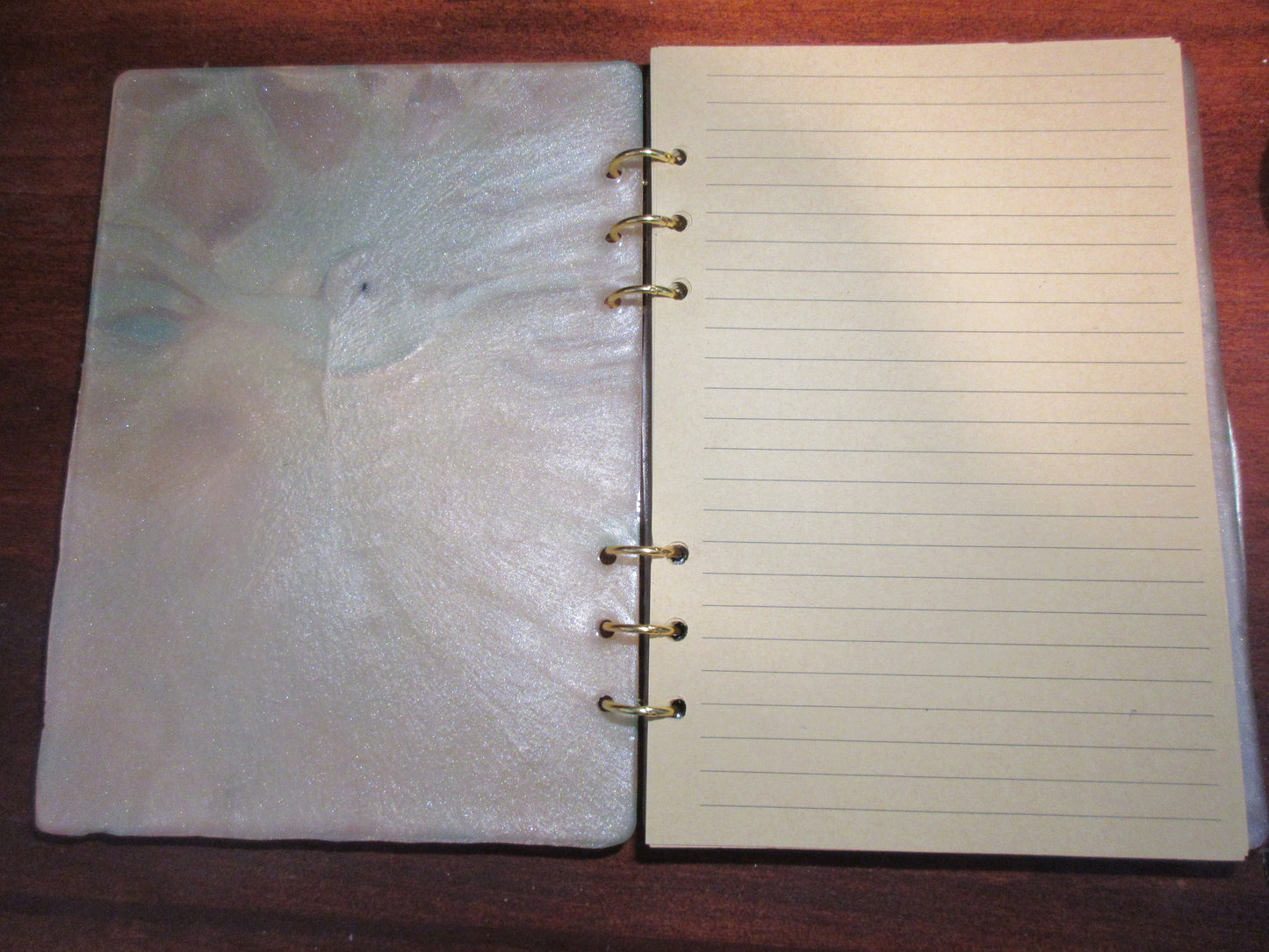 Dragon Eye Notebook