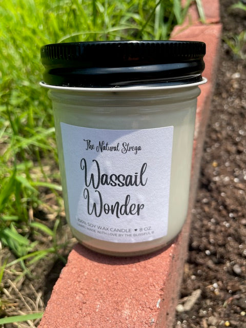 Wassail Wonder Candle (8 oz.)