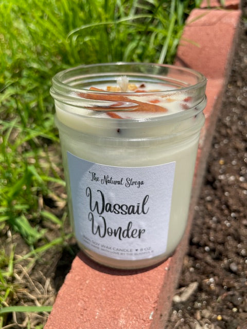 Wassail Wonder Candle (8 oz.)