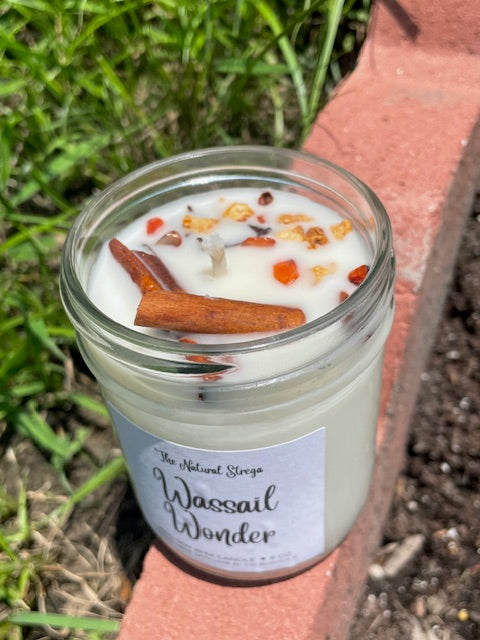 Wassail Wonder Candle (8 oz.)