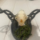 Bat Skull Candlestick Holders