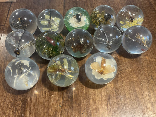 X-Large Bug Globes