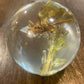 X-Large Bug Globes