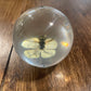 Large Bug Globes