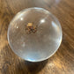 Large Bug Globes