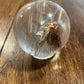 Medium Bug Globes
