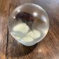 Medium Bug Globes