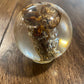 Medium Bug Globes