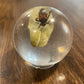 Medium Bug Globes