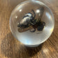 Medium Bug Globes
