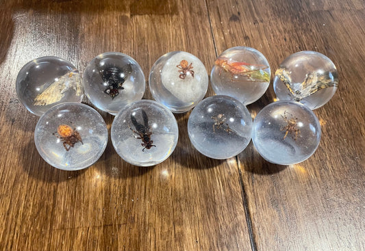 Small Bug Globes