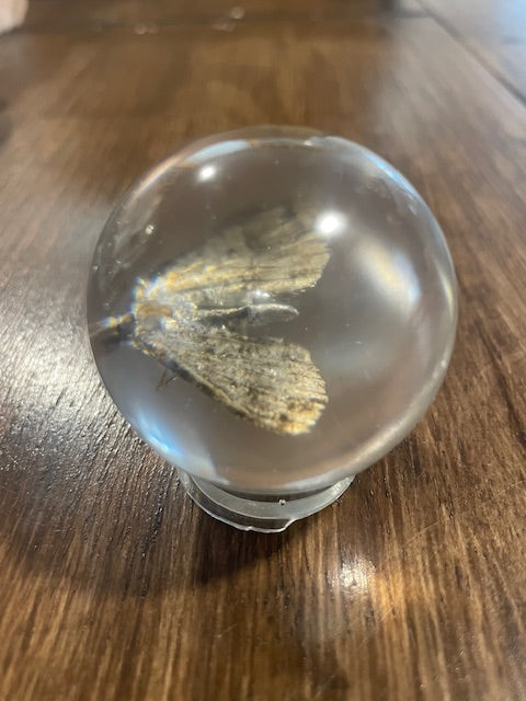 Small Bug Globes