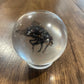 Small Bug Globes