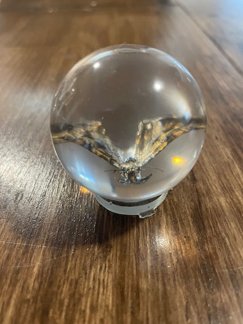 Small Bug Globes