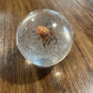 Small Bug Globes