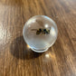 Mini Bug Globes