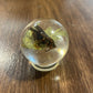 Mini Bug Globes