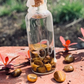 Leo Moon Water Jar