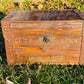 Mystical Dragon Box